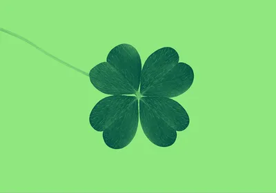 7 Serendipitous Synonyms For \"Lucky\" | Dictionary.com