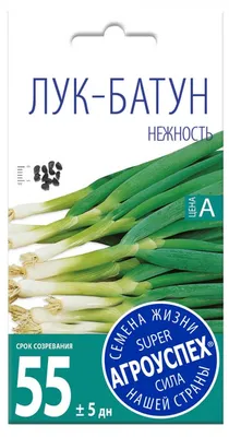 ЯПОНСКАЯ / JAPANESE — лук-батун, Hortus купить в Украине - цена, фото,  отзывы | Agrolife