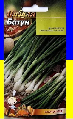 Семена Лук батун \"Апрельский\", 1 г (5462705) - Купить по цене от 15.10 руб.  | Интернет магазин SIMA-LAND.RU