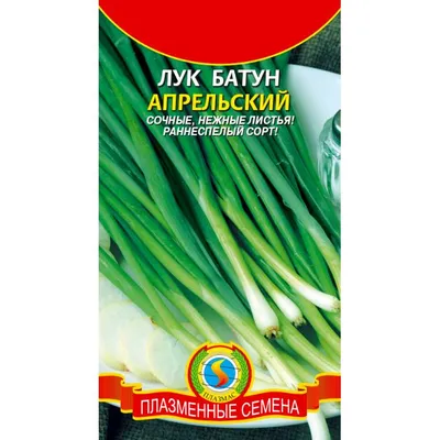 Семена Лук батун, Русский зимний, 1 г, цветная упаковка, Русский огород в  Брянске: цены, фото, отзывы - купить в интернет-магазине Порядок.ру