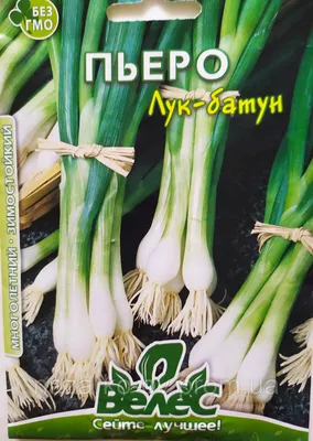 Лук батун Апрельский 1г Ранн (Поиск) — купить в интернет-магазине по низкой  цене на Яндекс Маркете