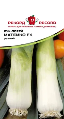 Купить Лук-порей \"Рекорд\" Осло F1 20 сем в Онсад.ру с доставкой Почтой