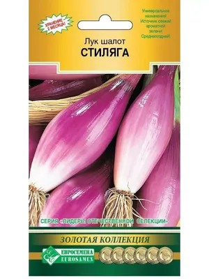 Семена Лук шалот \"Деликатес\", 0,2 г (7634980) - Купить по цене от 23.50  руб. | Интернет магазин SIMA-LAND.RU