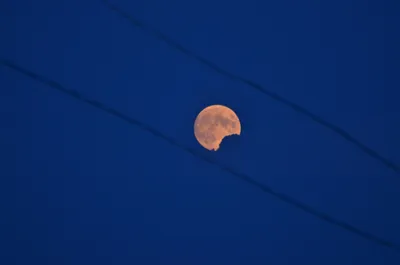 Луна сегодня красивая, правда?🌙🌖💫, …» — создано в Шедевруме