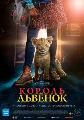 Львенок дома - картинки и фото koshka.top