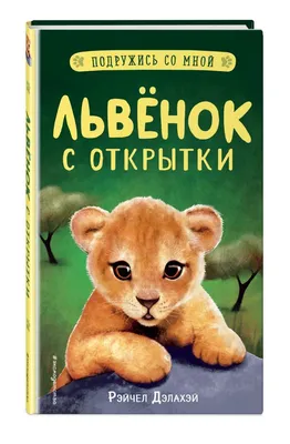 Детский мастер класс по аппликации «Львенок» (7 фото). Воспитателям детских  садов, школьным учителям и педагогам - Маам.ру