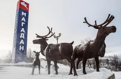 Магадан (аэропорт) — Википедия