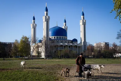 Городской парк культуры и отдыха (Майкоп - Республика Адыгея)