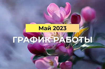 График работы на майские праздники 2023 -Новости