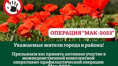 Мак лапландский - Попов В.В. Подробное описание экспоната, аудиогид,  интересные факты. Официальный сайт Artefact