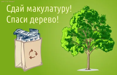 Куда сдать макулатуру в Москве и как подготовить ее к сортировке - Recycle