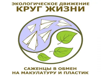 Макулатура в Ульяновске: Где сдать и зачем это нужно? - Бизнес новости  Ульяновска