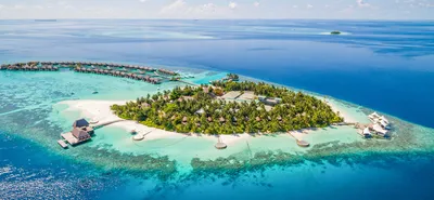 Правила въезда на Мальдивы в 2023 году для россиян: нужна ли виза,  декларация здоровья и другие документы