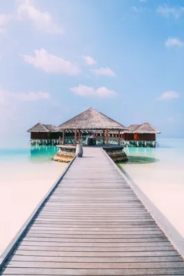 Нескучные Мальдивы - Авторский тур - LIFE4travel