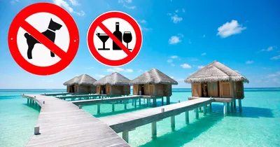 На Мальдивы без собак и алкоголя