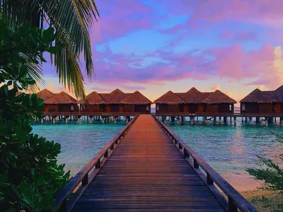 Отпуск в тропиках: Мальдивы или Тайланд?