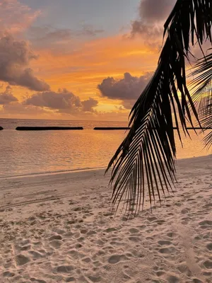 Мальдивы закат | Sunset pictures, Sunset photography, Beach sunset wallpaper