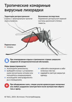 Тропический убийца: малярия в истории человечества