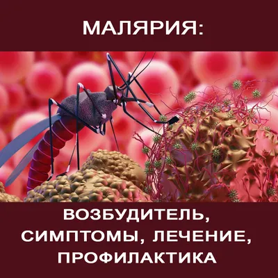 Малярия - Доказательная медицина для всех