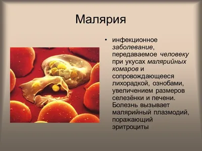 Малярия - Частное учреждение здравоохранения \"Больница \"РЖД-Медицина\"  города Рузаевка\"