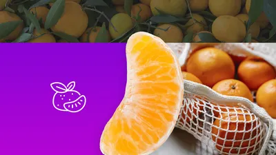 Время мандарина: как в Абхазии собирают главный фрукт для экспорта -  19.11.2021, Sputnik Абхазия