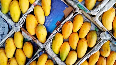 Premium Photo | Mango isolated one ripe yellow mango with a green leaf