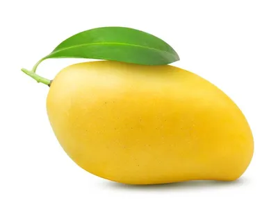 Raw Mango: Uses, Benefits, Side Effects By Dr. Smita Barode - PharmEasy Blog