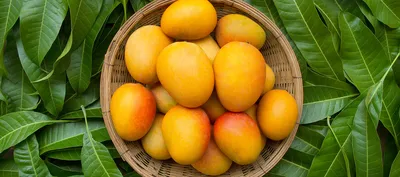 4 Ways to Tell if Your Mango Is Ripe