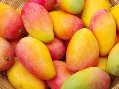 Mangoes - Bulleen Art Garden