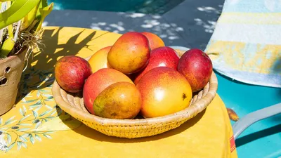 Benefits of Mangoes: Vitamin A, Sugar Content, Types