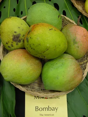 How to Cut a Mango (Yes, Including the Hedgehog Method) | Bon Appétit