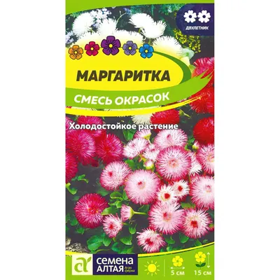 Маргаритка красная 🌱 - купить семена маргаритки в Украине | FLORIUM.UA✓