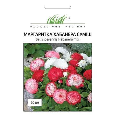 Белоснежные маргаритки, поштучно. №929577 - купить в Украине на Crafta.ua