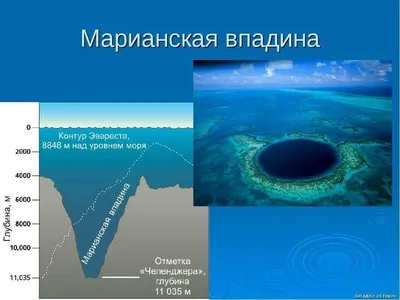 Удивительное на страницах журналов. Голубая бездна » Библиотека им.Зырянова