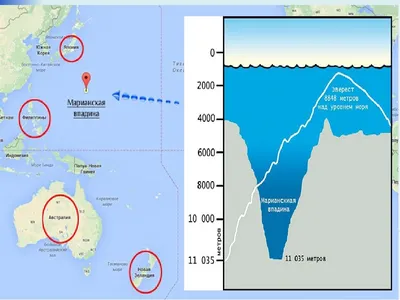 Марианская впадина / факты :: марианская впадина :: личное / картинки,  гифки, прикольные комиксы, интересные статьи по теме.