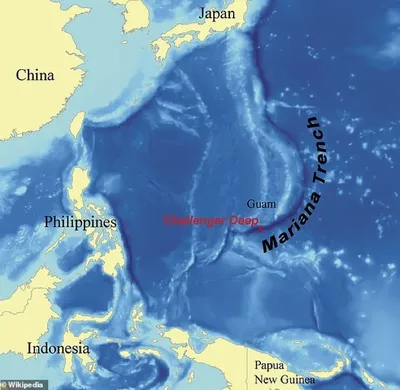 Марианская впадина: глубина, расположение, интересные факты