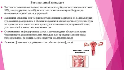 Искусство любви [Михалина Вислоцкая] (fb2) читать онлайн | КулЛиб  электронная библиотека