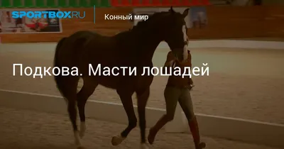 Разнообразие мастей лошадей | EquiLife.ru - Первый Конный журнал online