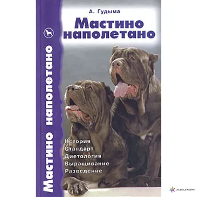 Мастино неаполитано из маленького уральского городка Коркино. — обсуждение  в группе \"Неаполитанские мастифы (мастино наполетано)\" | Птичка.ру