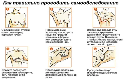 Почему возникает мастопатия? ⠀ Благодарю за 💛 ⠀ Мастопатия — заболевания  молочных желез. Диагноз «фиброзно-кистозная мастопатия» ставится… |  Instagram