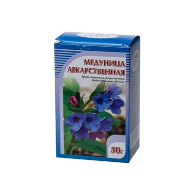 Фотокаталог растений: Медуница неясная (Pulmonaria obscura)