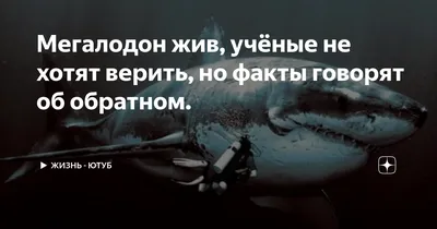 Наши знания о том, как на самом деле выглядел мегалодон, оказались ложными