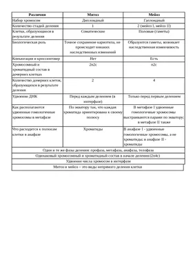 Стенд для школы ОБРАЗОВАНИЕ КЛЕТОК. МИТОЗ. МЕЙОЗ, 0,75*1м