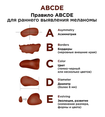 Блог в Центральной поликлинике Литфонда | Москва САО