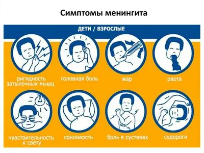 Поза курка и стакан: Как распознать менингит? - Новости Тулы и области -  MySlo.ru