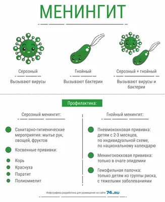 Менингит: признаки и симптомы у детей и взрослых, лечение и осложнения