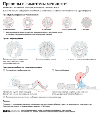 Менингит: кратко о заболевании и профилактике | Терапевт Варвара Веретюк |  Дзен