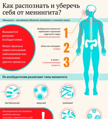 Симптомы менингита. Информационный плакат с текстом и персонажем  мультфильма. Плоский векторный рисунок. Изолированный на белом фоне .  Векторное изображение ©goodstocker.yandex.ru 232046628