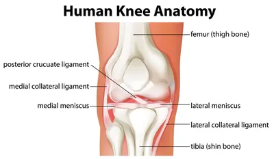 Мениски - причины повреждения