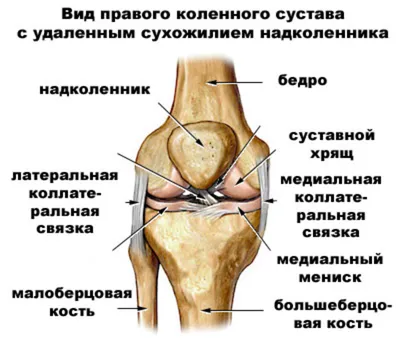 Разрыв мениска - информация о заболевании в Рязани